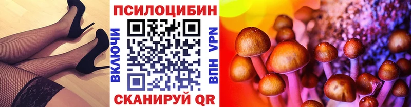 Псилоцибиновые грибы MAGIC MUSHROOMS  Купить закладки  Макаров 