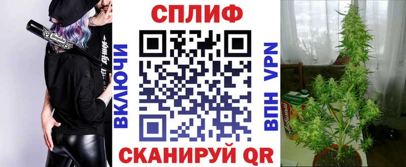 Купить  Макаров  Каннабис ГИДРОПОН 